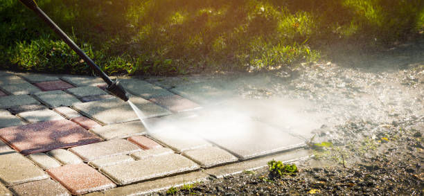 Best Driveway Pressure Washing  in Ocala, FL